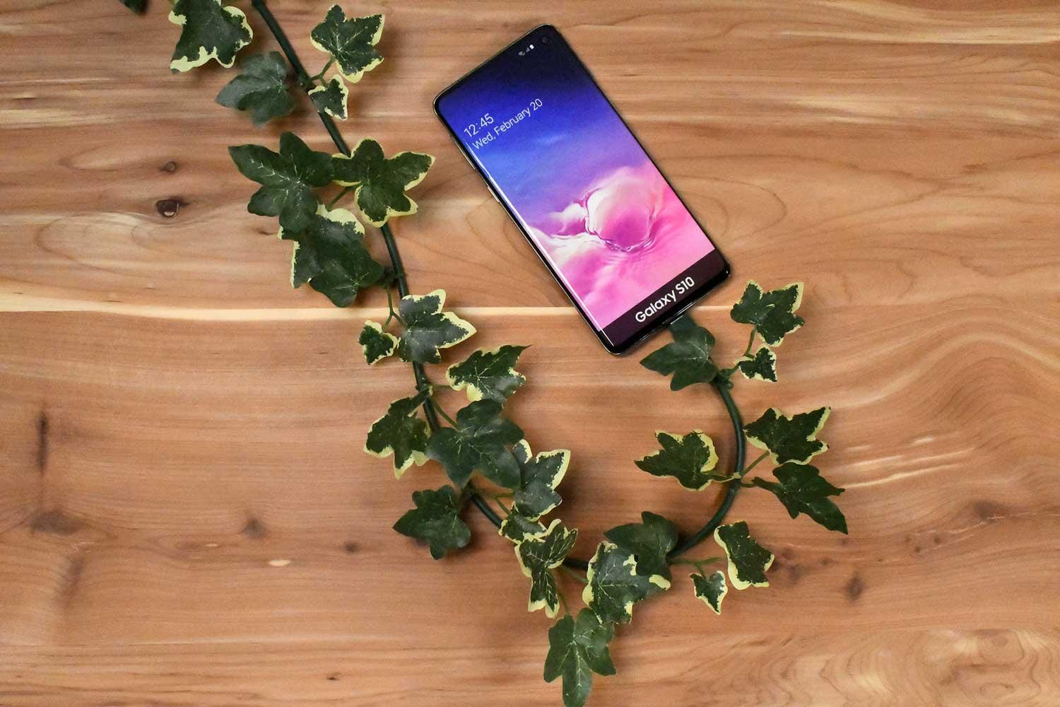 USB-C Cable with Ivy Leaf Design