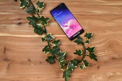 USB-C Cable with Ivy Leaf Design