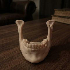 Phone Stand / Business Card Holder